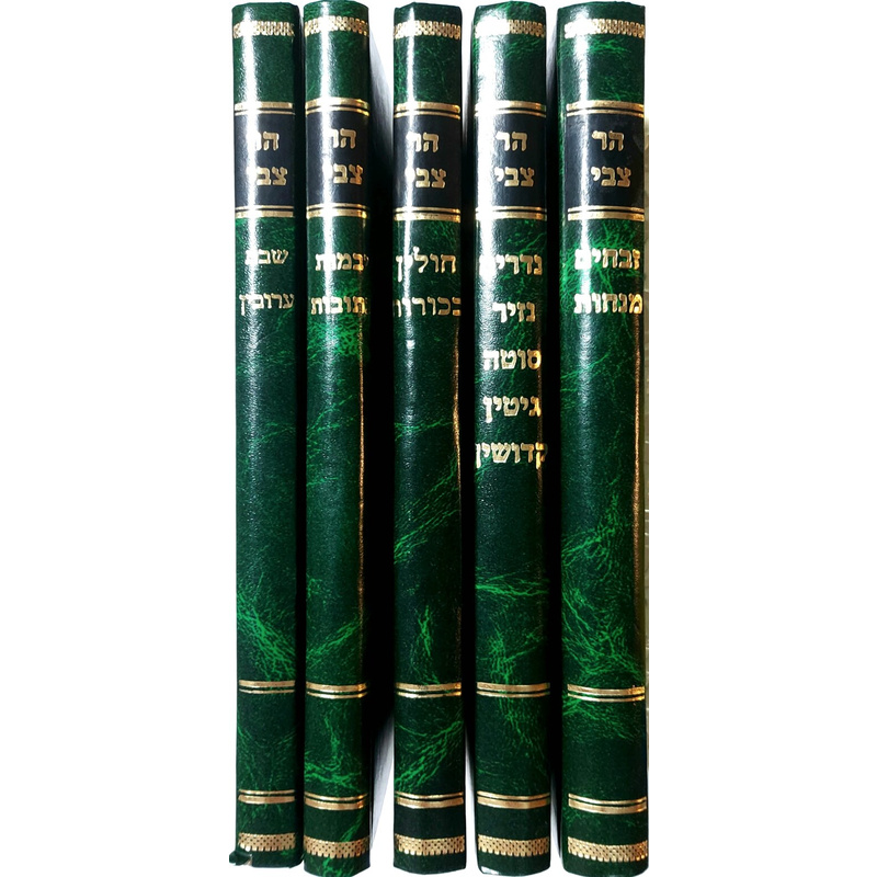 הר צבי על הש&quot;ס