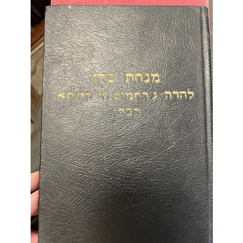 מנחת כהן  (כרך ב)