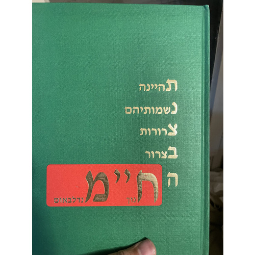 חנוך מנדלבאום תנצבה