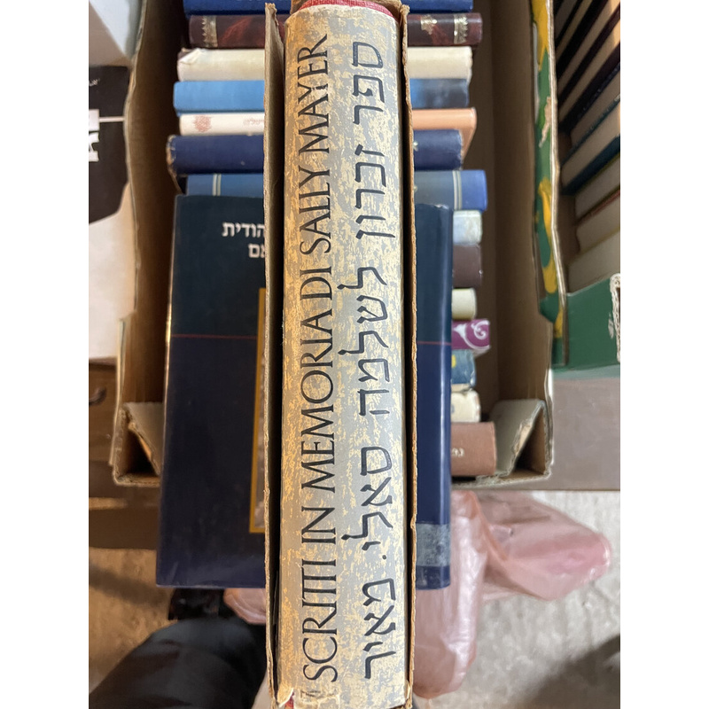 ספר זכרון לשלמה סאלי מאיר