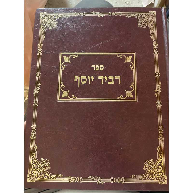 רביד יוסף