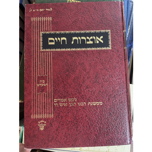 אוצרות חיים - בן איש חי