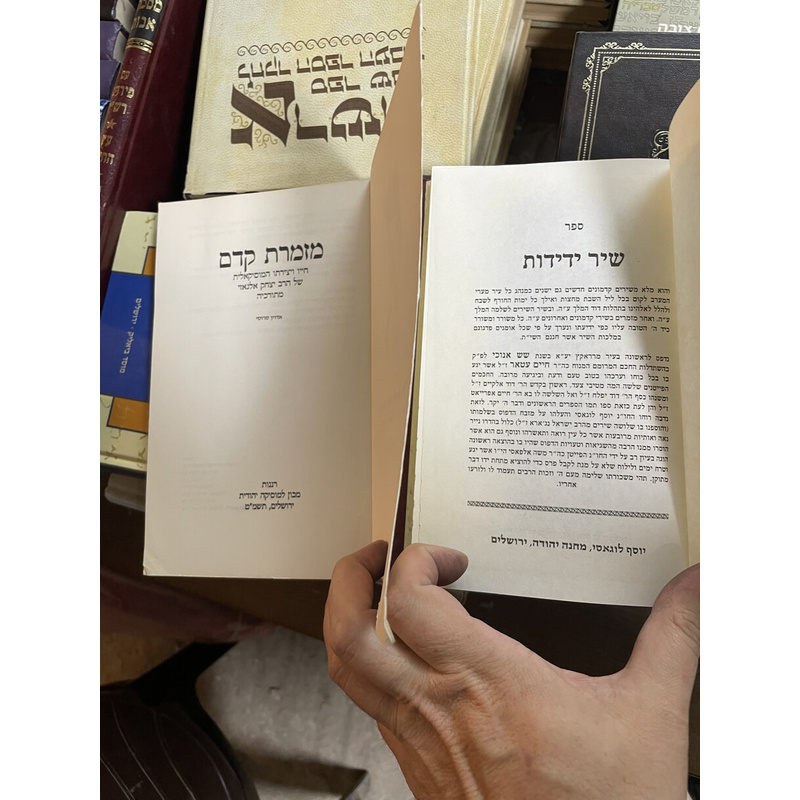 שני ספרי שירה