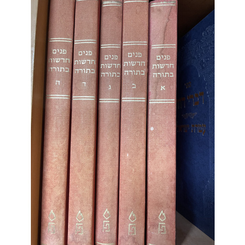 פנים חדשות בתורה - סט