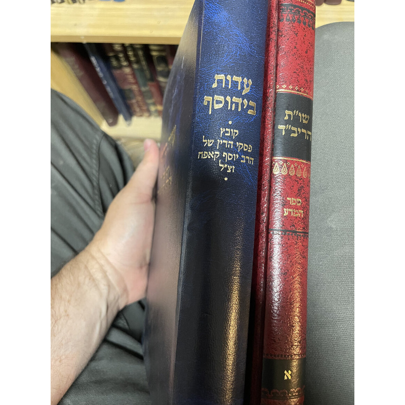 ב ספרים של הרב קאפח