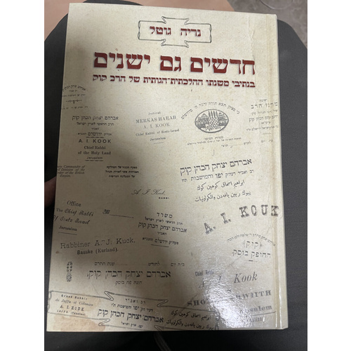 חדשים גם ישנים - בנתיבי משנתו של הרב קוק