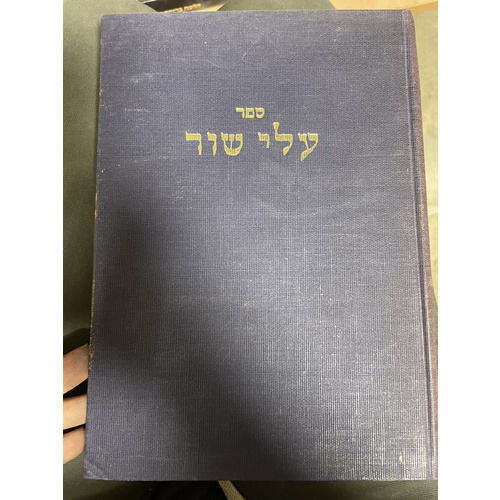 עלי שור