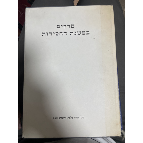 פרקים במשנת החסידות