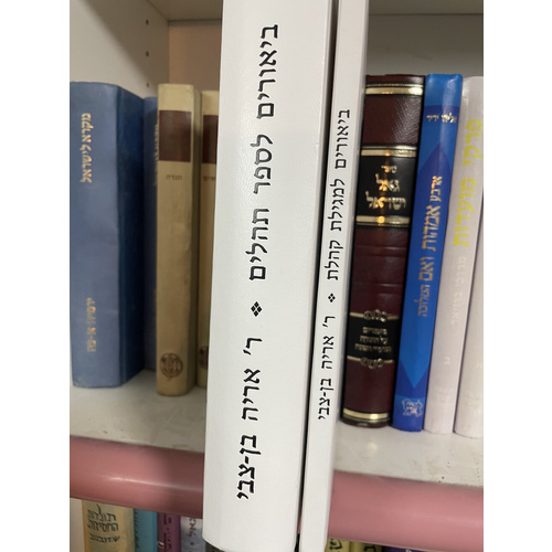 ביוארים של ר' אריה בן-צבי