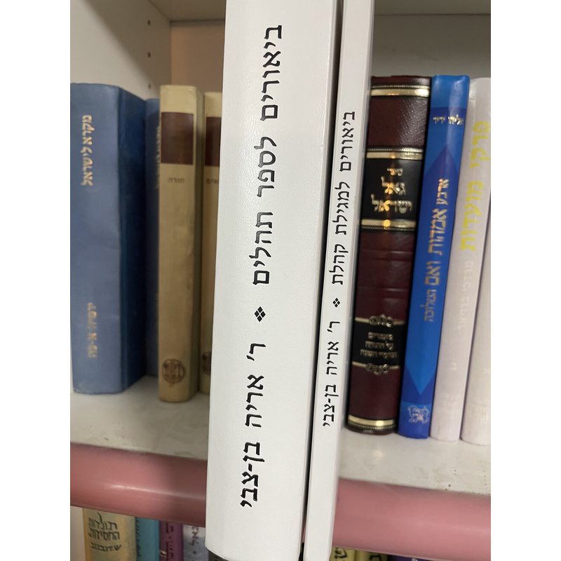 ביוארים של ר&#039; אריה בן-צבי