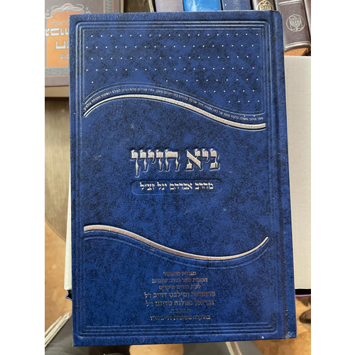גיא חזיון