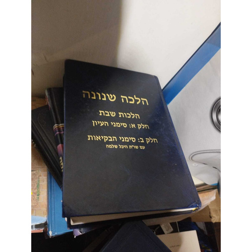 הלכה שנונה הלכות שבת