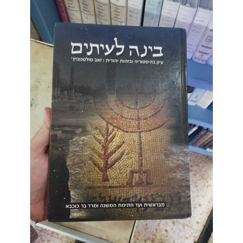 בינה לעיתים - הרב סולטנביץ