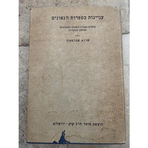 עניינות בספרות הגאונים - אברמסון