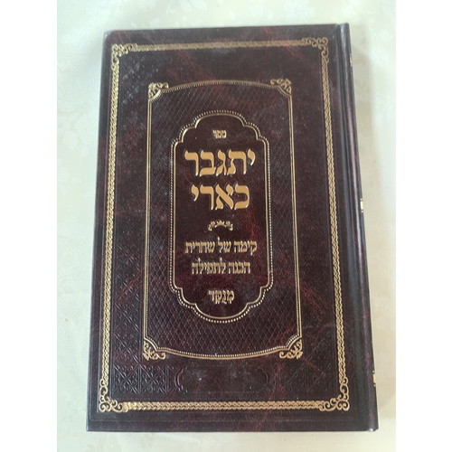 ספר יתגבר כארי - קימה של שחרית, הכנה לתפילה