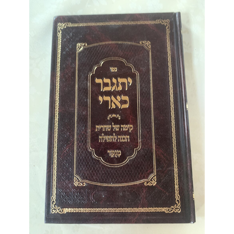 ספר יתגבר כארי - קימה של שחרית, הכנה לתפילה
