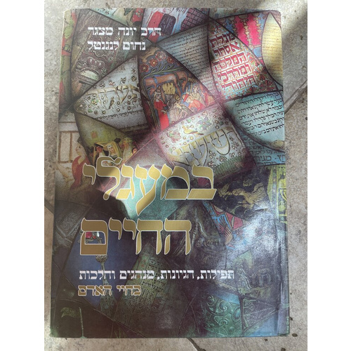 במעגלי החיים