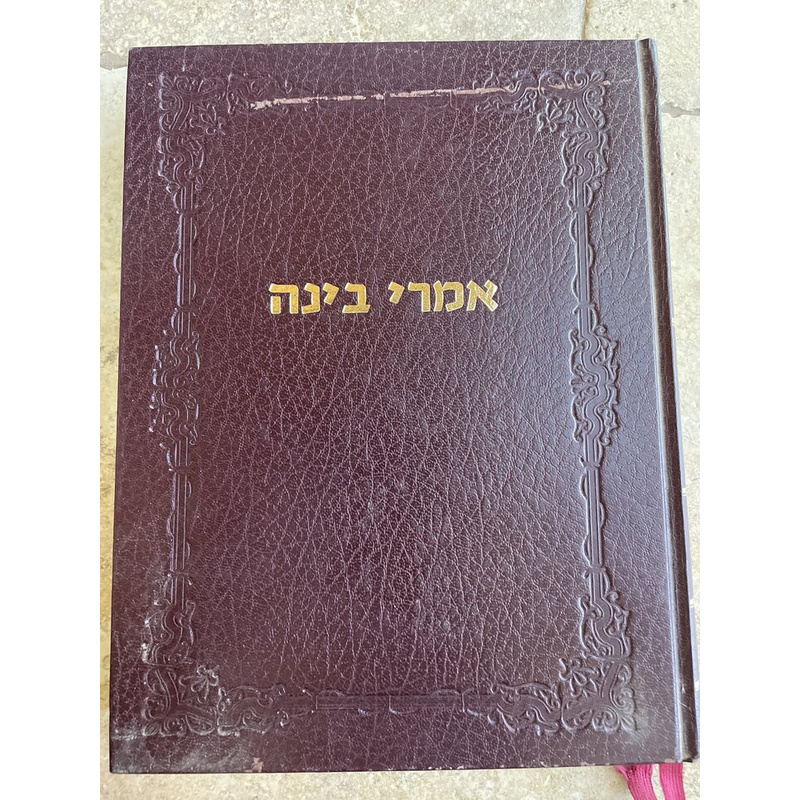 אמרי בינה